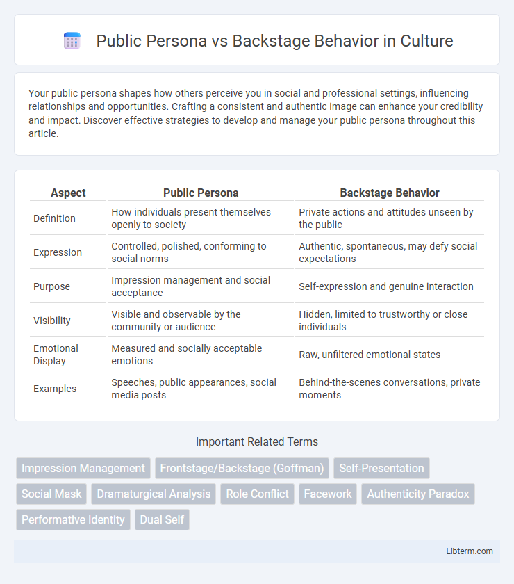 Backstage Behavior vs Public Persona in Culture - What is The Difference?