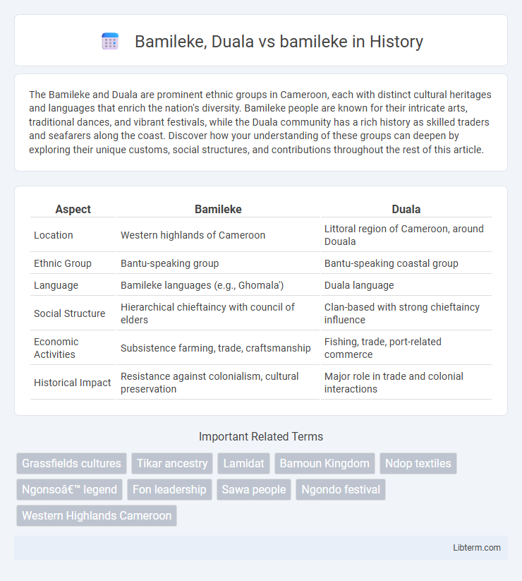bamileke vs Bamileke, Duala in History - What is The Difference?