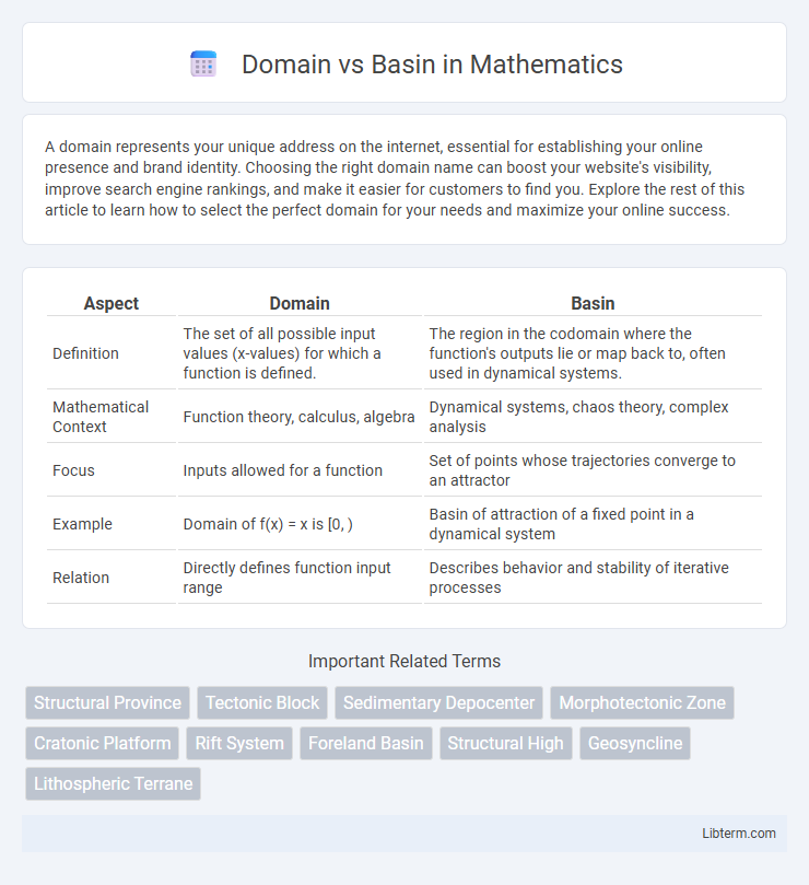 Basin vs Domain in Mathematics - What is The Difference?