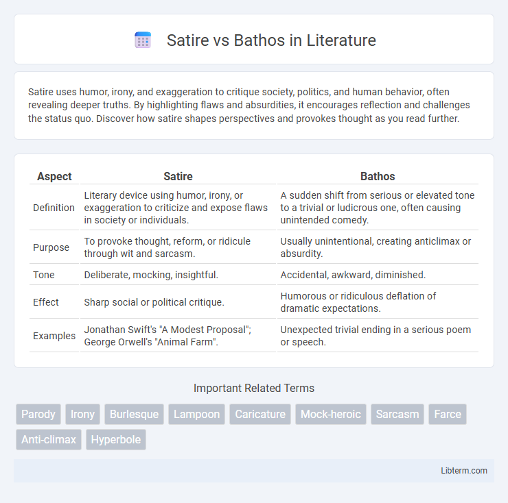 Bathos vs Satire in Literature - What is The Difference?