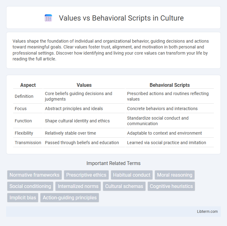 Behavioral Scripts vs Values in Culture - What is The Difference?