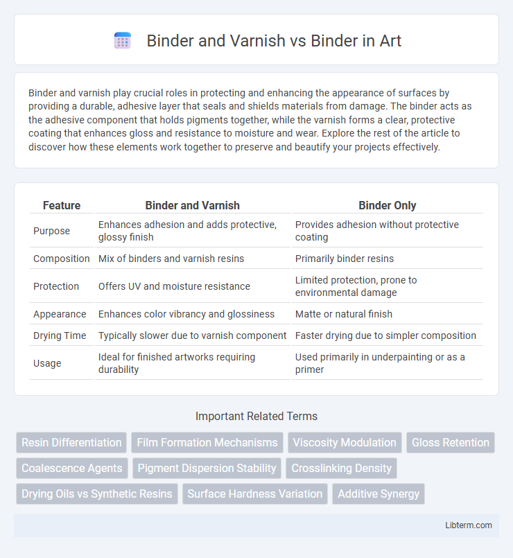 Binder vs Binder and Varnish in Art - What is The Difference?