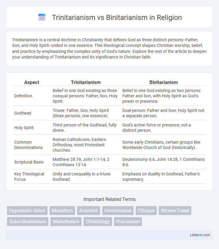 Binitarianism vs Trinitarianism in Religion - What is The Difference?