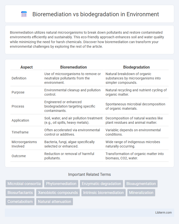 biodegradation vs Bioremediation in Environment - What is The Difference?