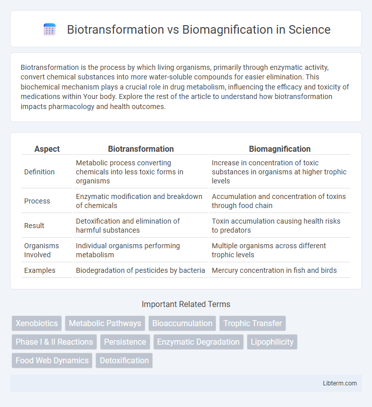 Biomagnification vs Biotransformation in Science - What is The Difference?