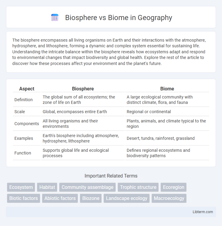 Biome vs Biosphere in Geography - What is The Difference?