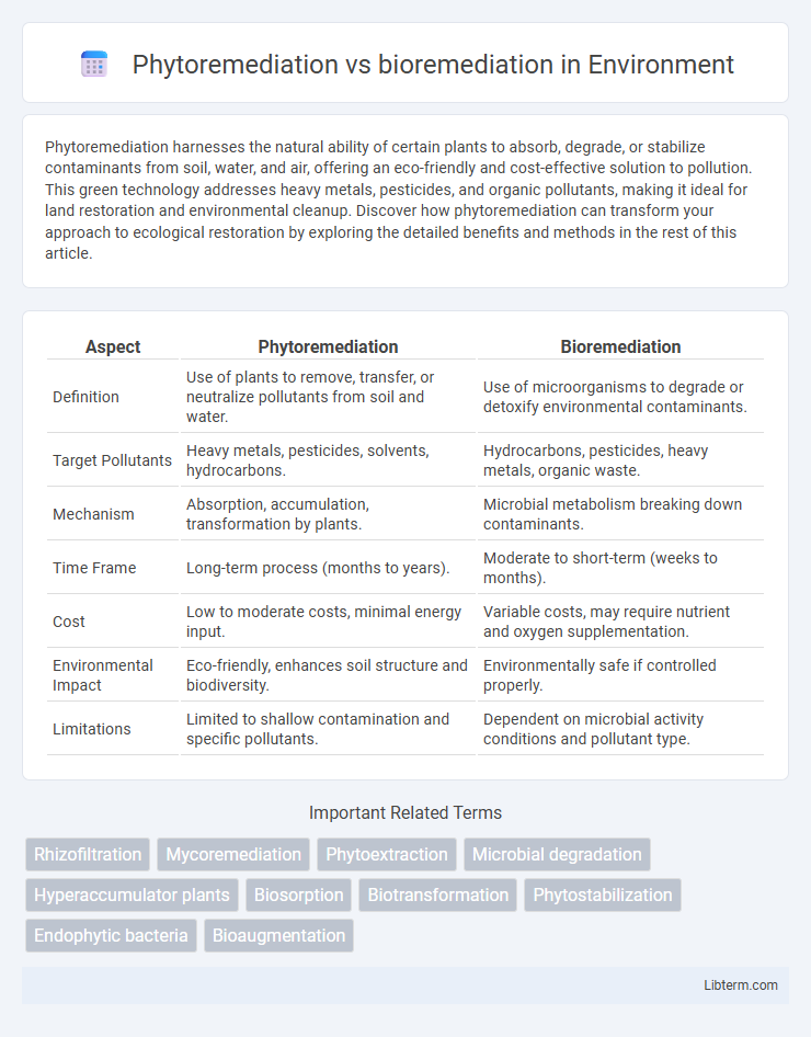 bioremediation vs Phytoremediation in Environment - What is The Difference?
