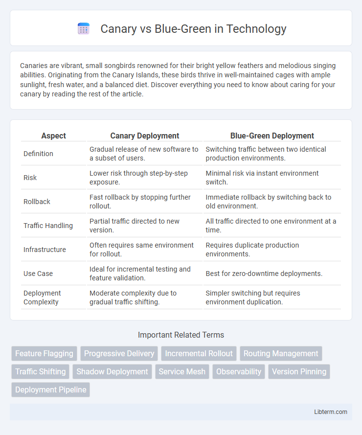 Blue-Green vs Canary in Technology - What is The Difference?