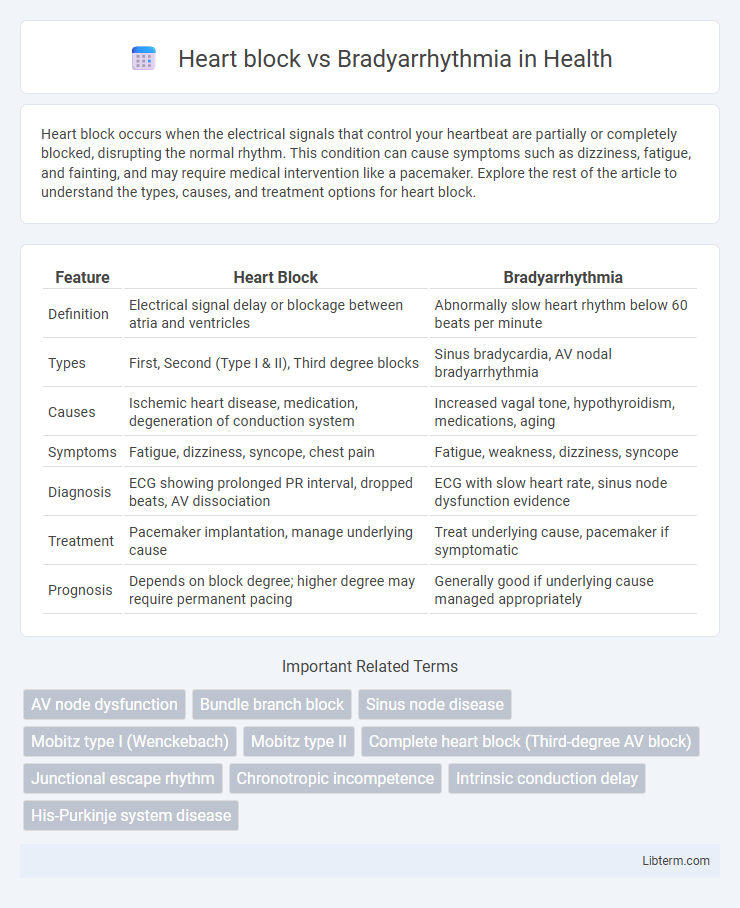 Bradyarrhythmia vs Heart block in Health - What is The Difference?