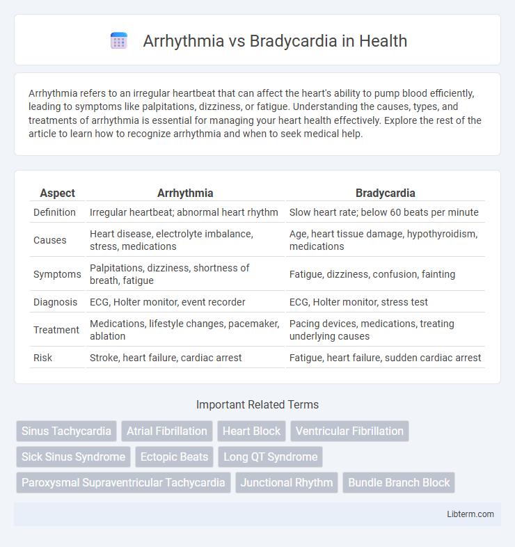 Bradycardia vs Arrhythmia in Health - What is The Difference?
