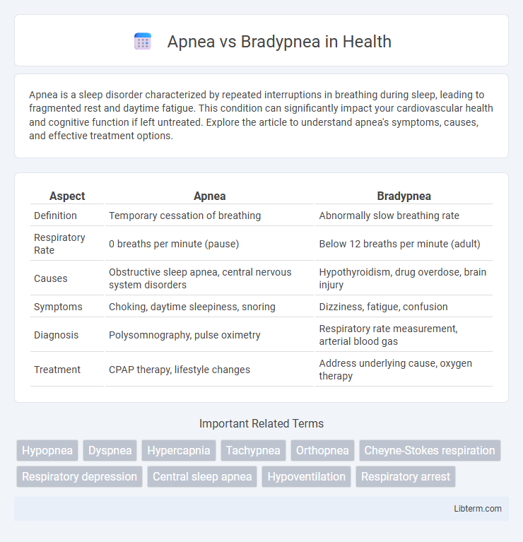 Bradypnea vs Apnea in Health - What is The Difference?