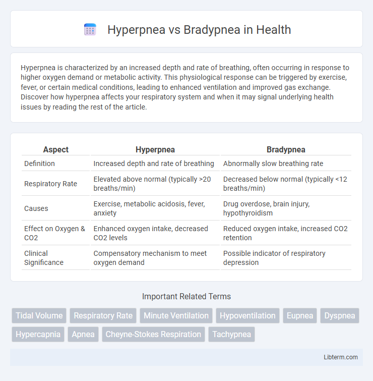 Bradypnea vs Hyperpnea in Health - What is The Difference?