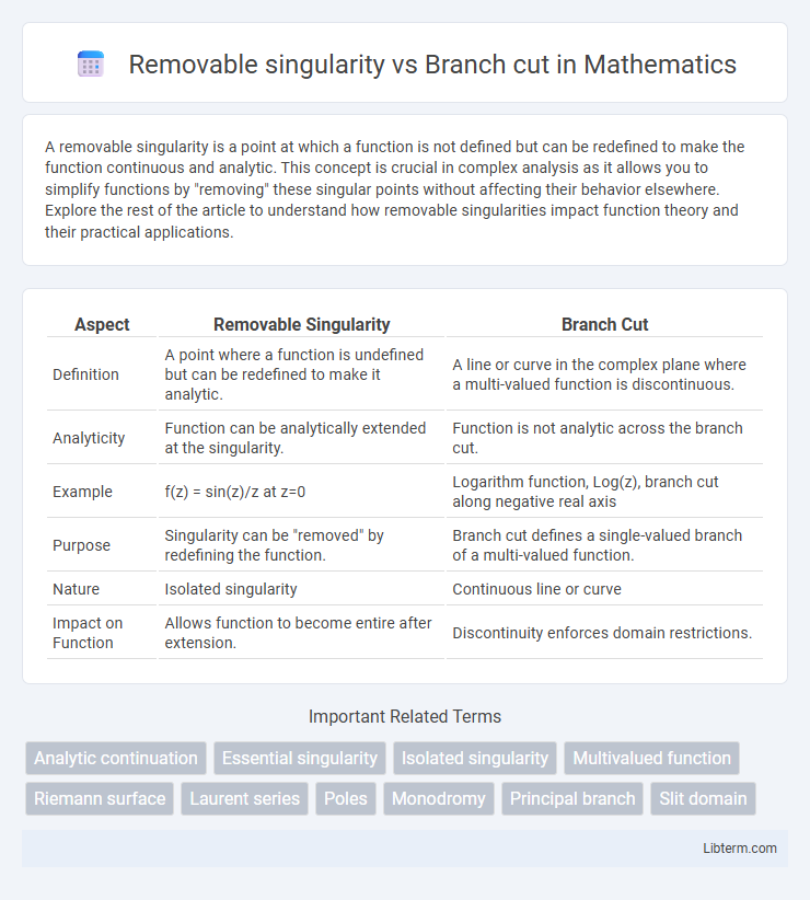 Branch cut vs Removable singularity in Mathematics - What is The Difference?