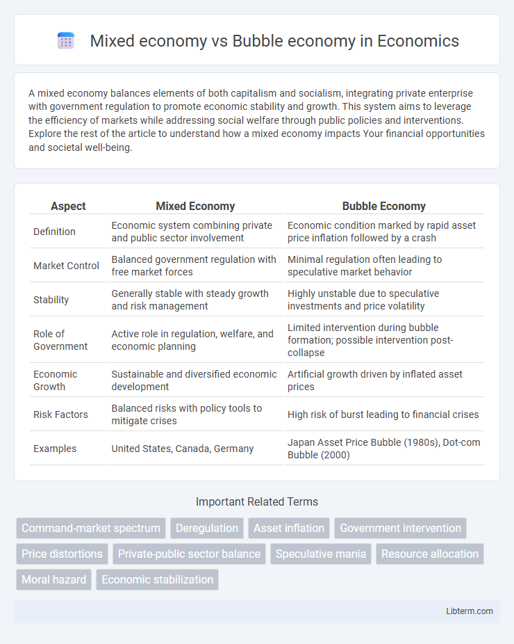 Bubble economy vs Mixed economy in Economics - What is The Difference?