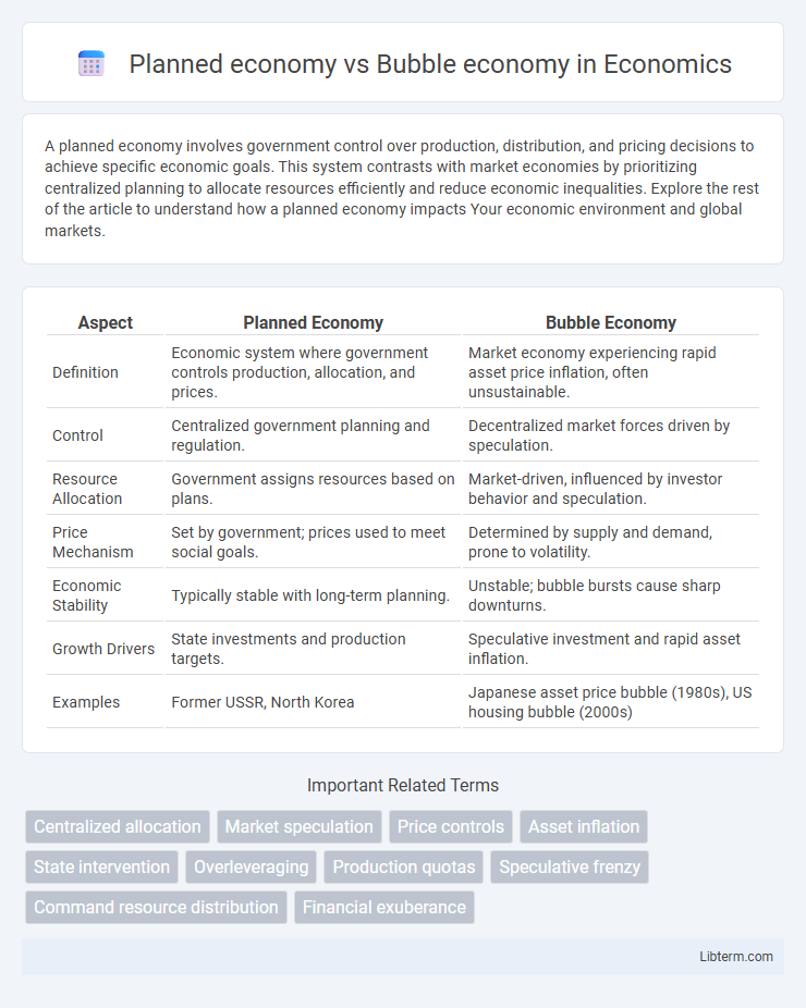 Bubble economy vs Planned economy in Economics - What is The Difference?