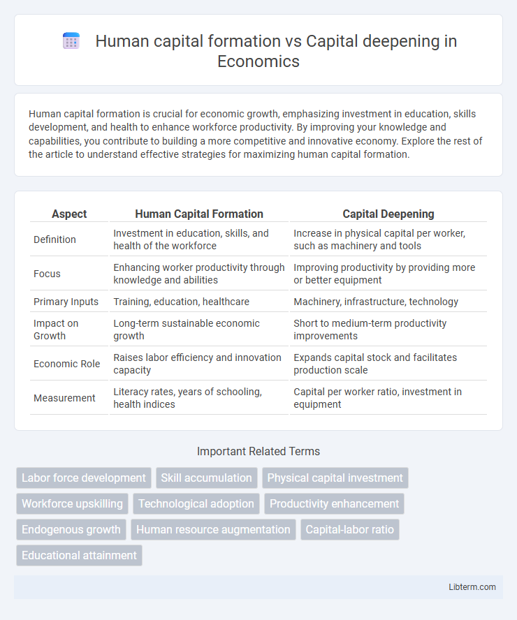 Capital deepening vs Human capital formation in Economics - What is The Difference?