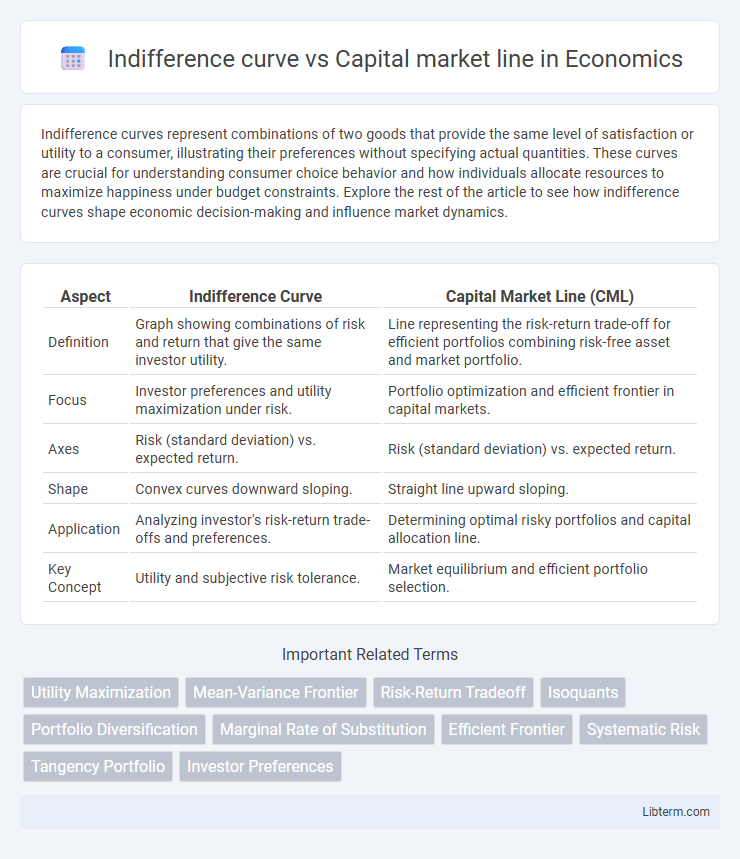 Capital market line vs Indifference curve in Economics - What is The Difference?