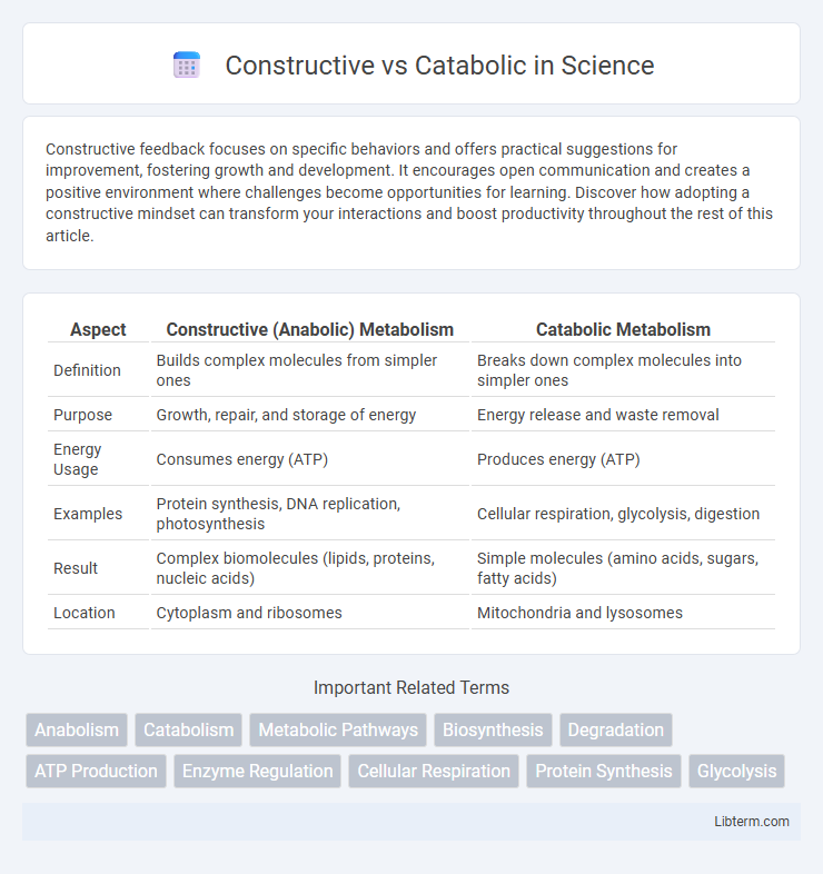 Catabolic vs Constructive in Science - What is The Difference?