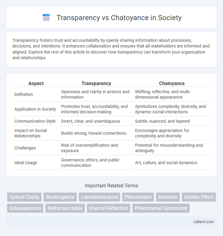 Chatoyance vs Transparency in Society - What is The Difference?