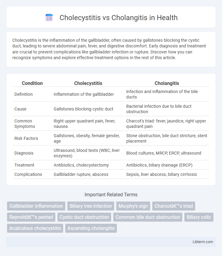 Cholangitis vs Cholecystitis in Health - What is The Difference?