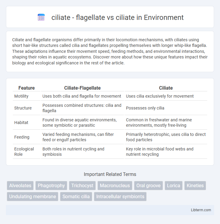 ciliate vs ciliate - flagellate in Environment - What is The Difference?