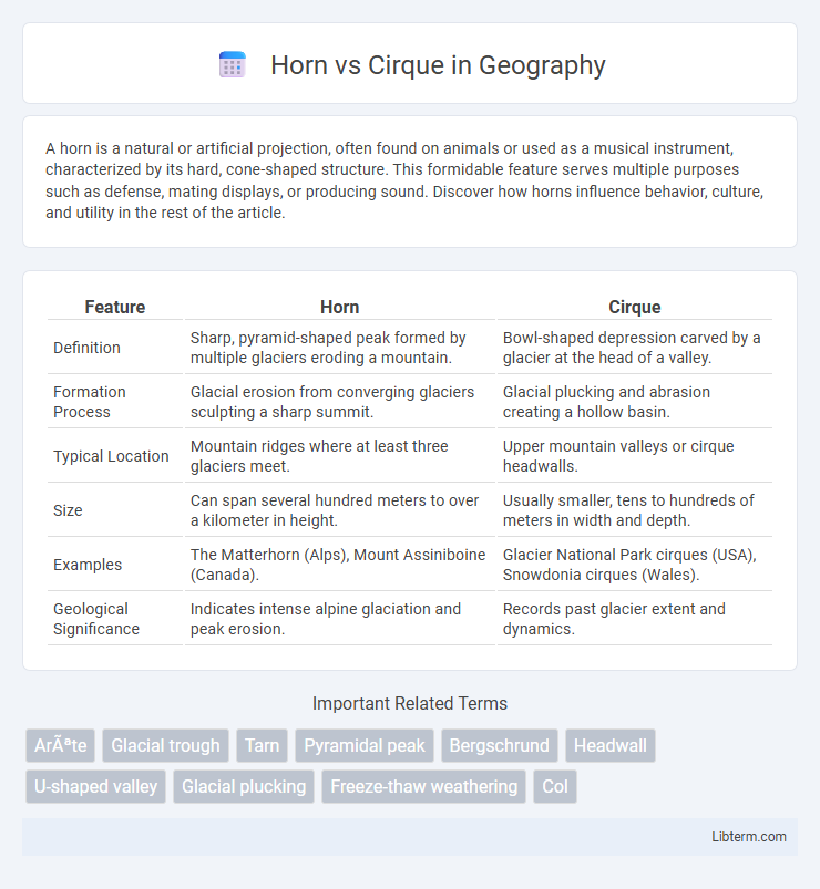 Cirque vs Horn in Geography - What is The Difference?