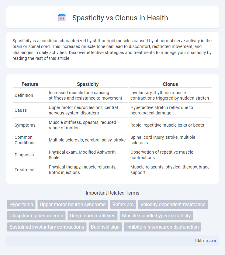 Clonus vs Spasticity in Health - What is The Difference?