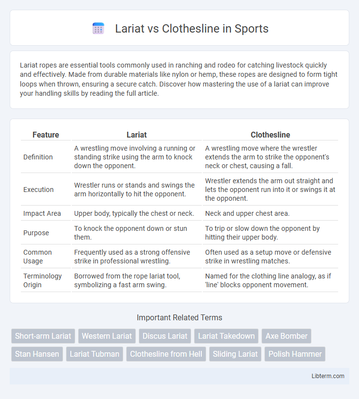 Clothesline vs Lariat in Sports - What is The Difference?