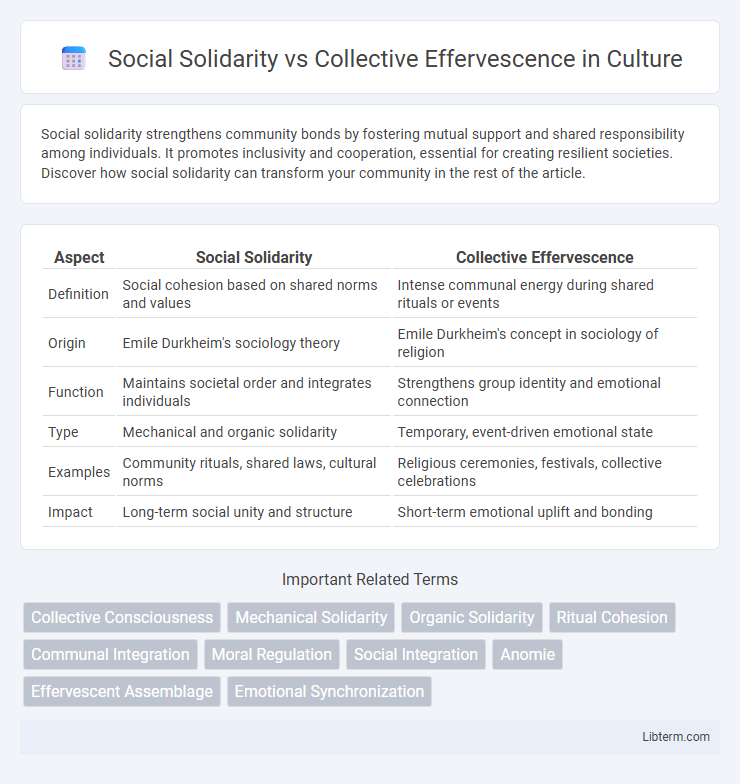 Collective Effervescence vs Social Solidarity in Culture - What is The Difference?