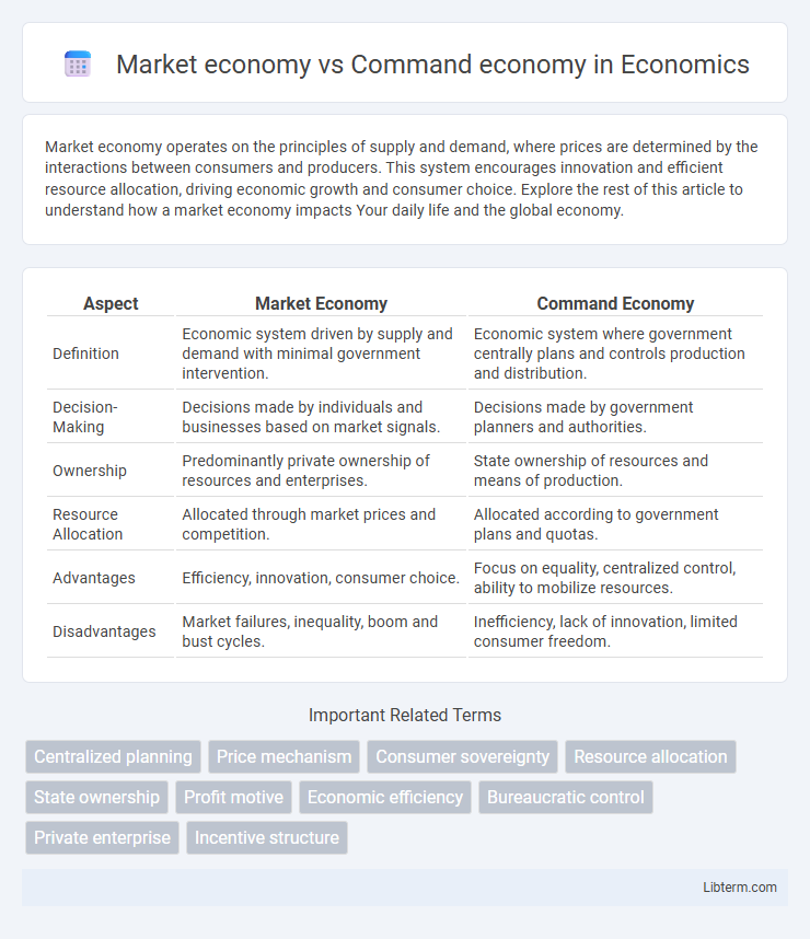 Command economy vs Market economy in Economics - What is The Difference?