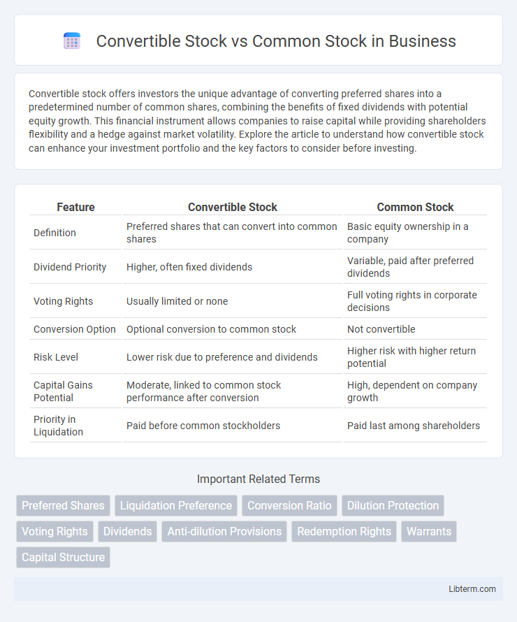 Common Stock vs Convertible Stock in Business - What is The Difference?