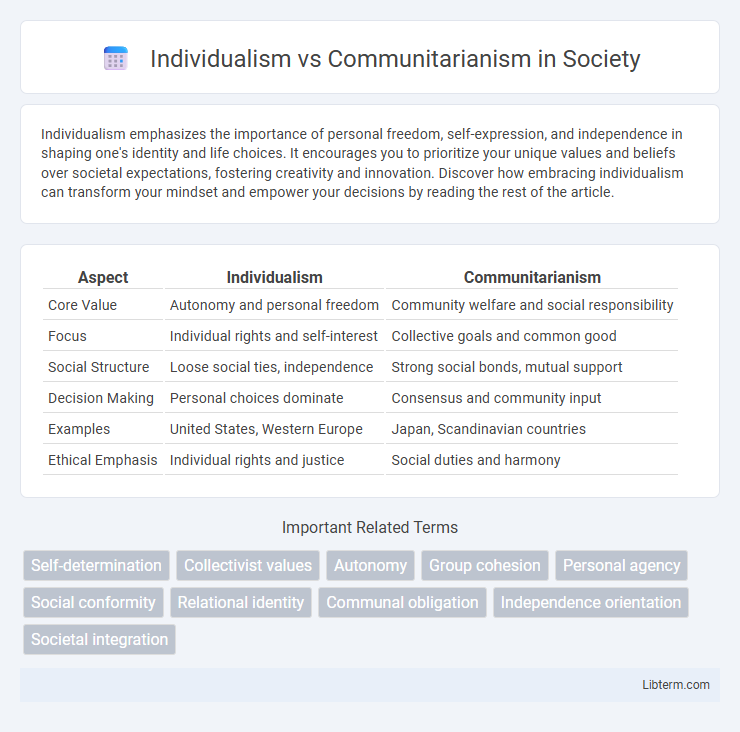 Communitarianism vs Individualism in Society - What is The Difference?
