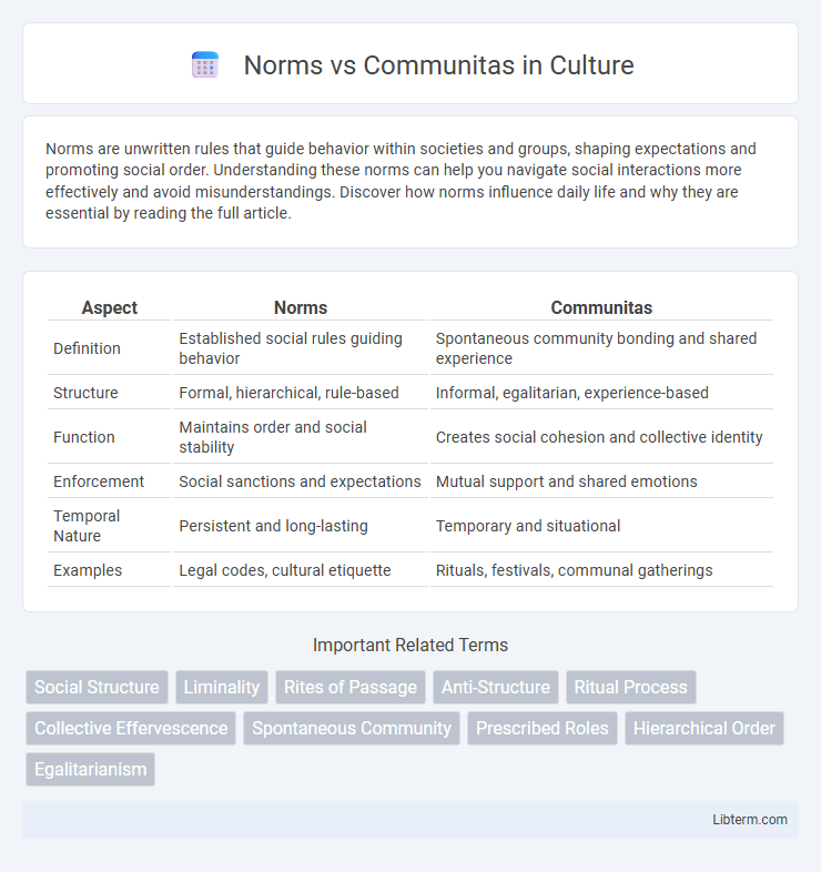 Communitas vs Norms in Culture - What is The Difference?
