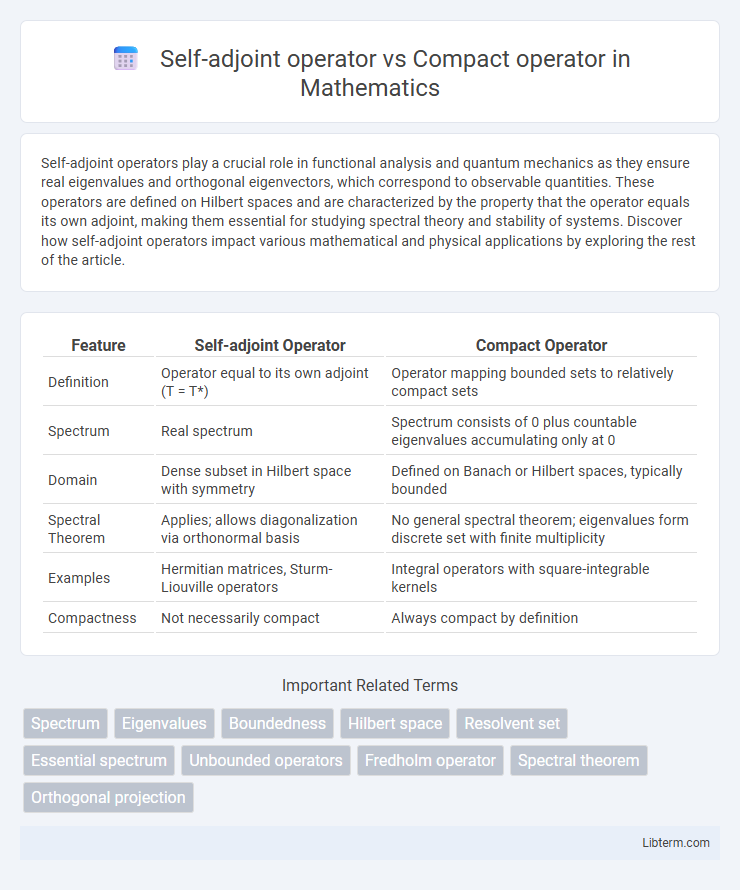 Compact operator vs Self-adjoint operator in Mathematics - What is The Difference?