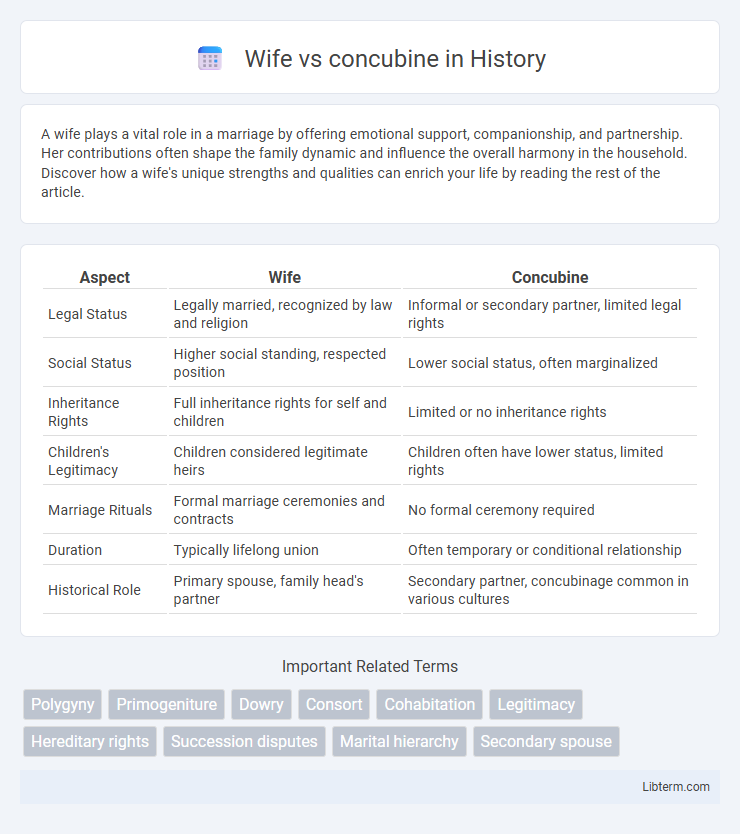 concubine vs Wife in History - What is The Difference?