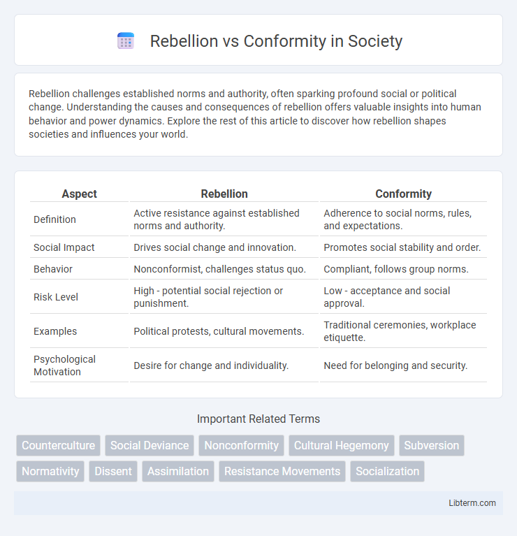 Conformity vs Rebellion in Society - What is The Difference?