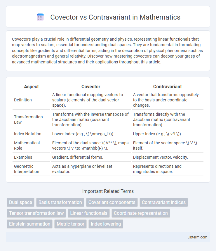 Contravariant vs Covector in Mathematics - What is The Difference?
