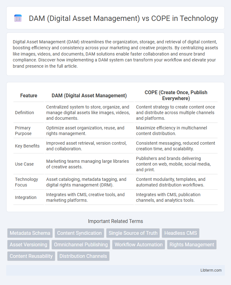 COPE vs DAM (Digital Asset Management) in Technology - What is The Difference?