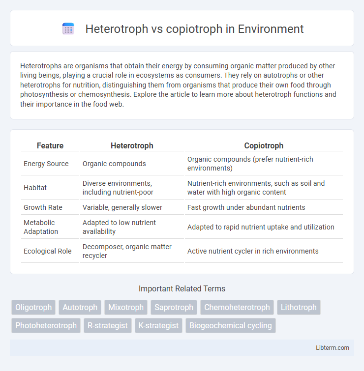 copiotroph vs Heterotroph in Environment - What is The Difference?