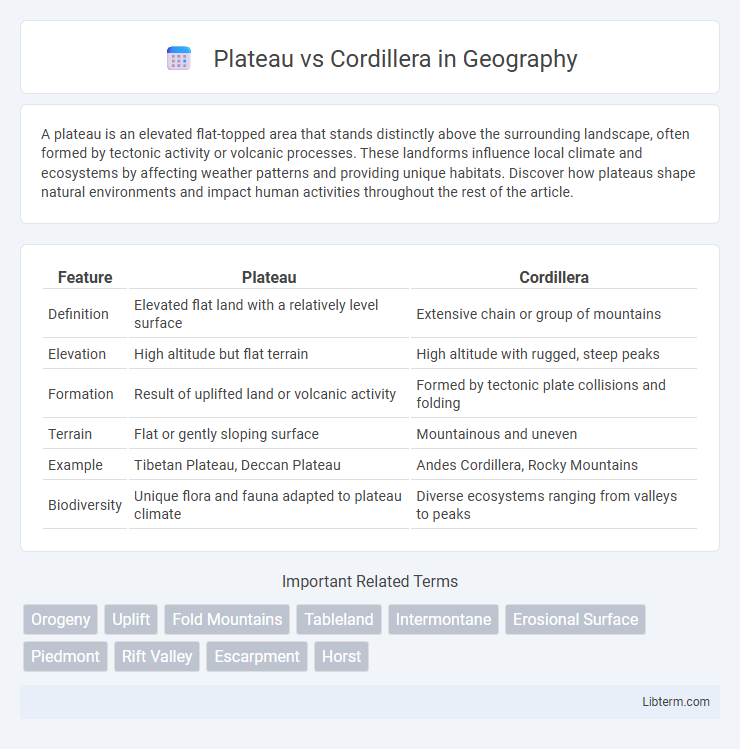 Cordillera vs Plateau in Geography - What is The Difference?