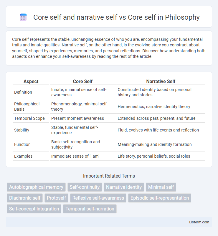 Core self vs Core self and narrative self in Philosophy - What is The Difference?