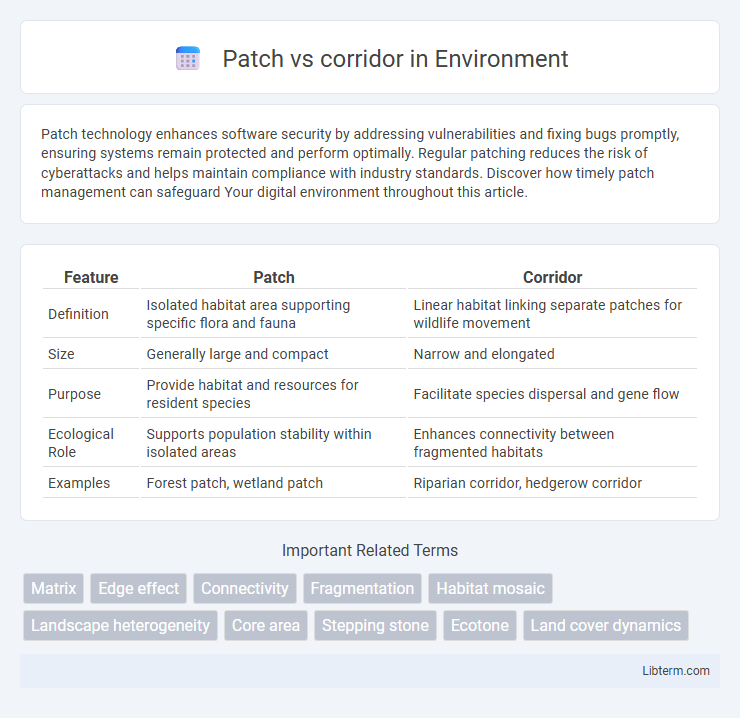 corridor vs Patch in Environment - What is The Difference?