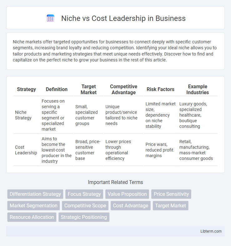 Cost Leadership vs Niche in Business - What is The Difference?