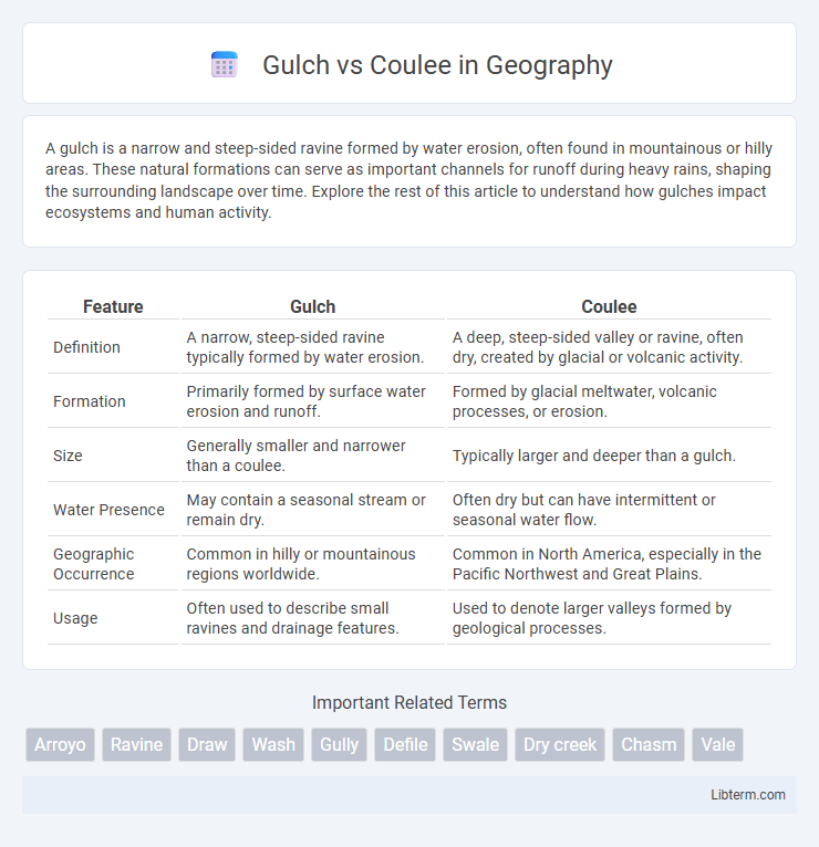 Coulee vs Gulch in Geography - What is The Difference?