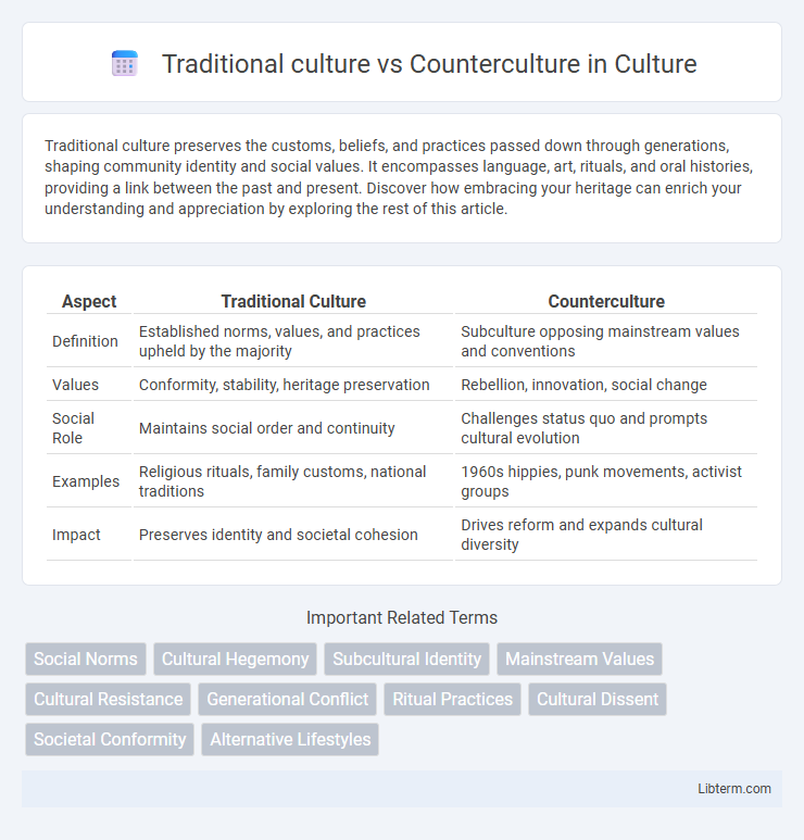 Counterculture vs Traditional culture in Culture - What is The Difference?