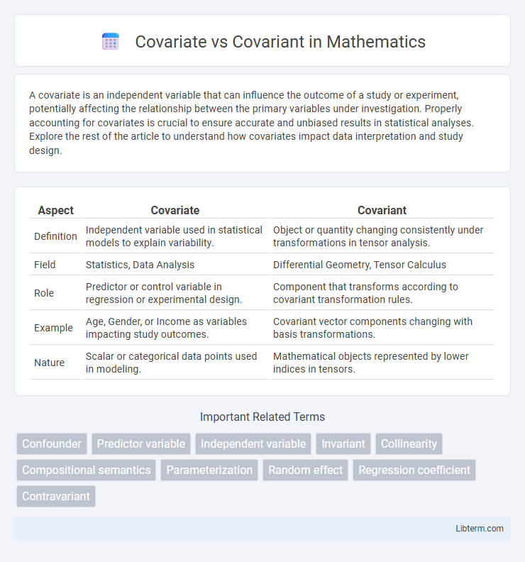 Covariant vs Covariate in Mathematics - What is The Difference?