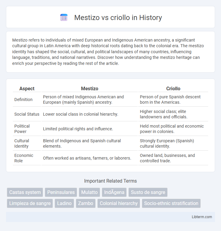criollo vs Mestizo in History - What is The Difference?
