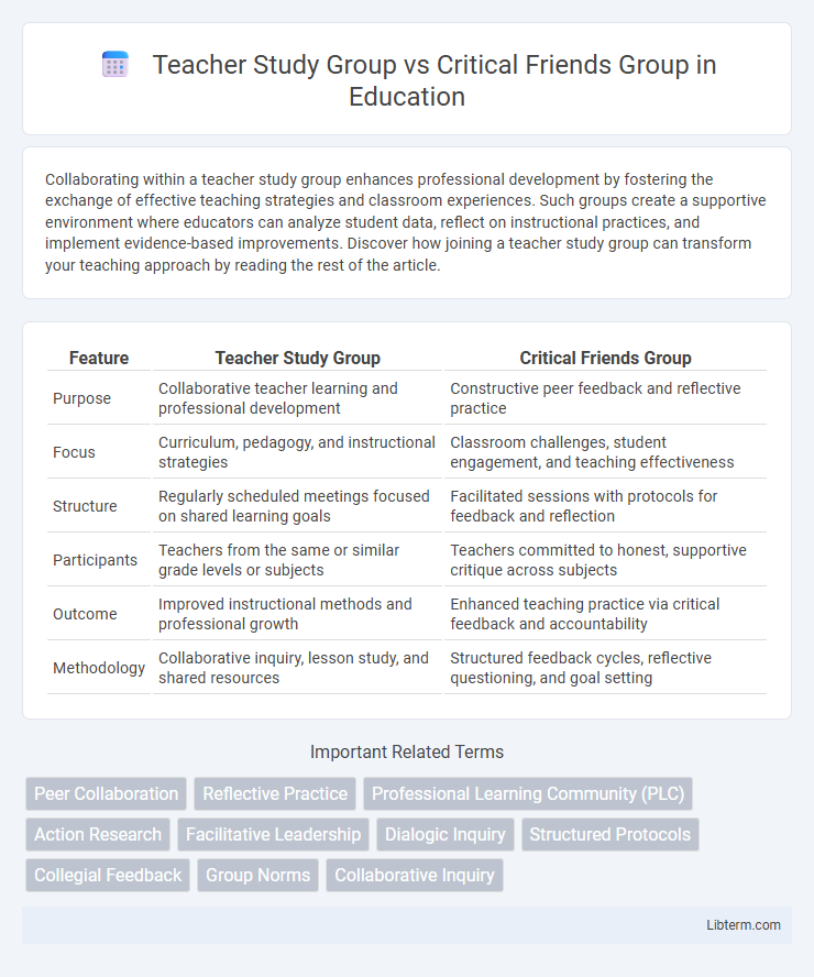 Critical Friends Group vs Teacher Study Group in Education - What is The Difference?
