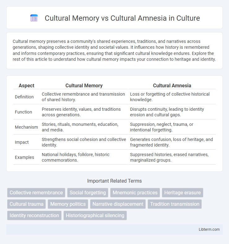 Cultural Amnesia vs Cultural Memory in Culture - What is The Difference?