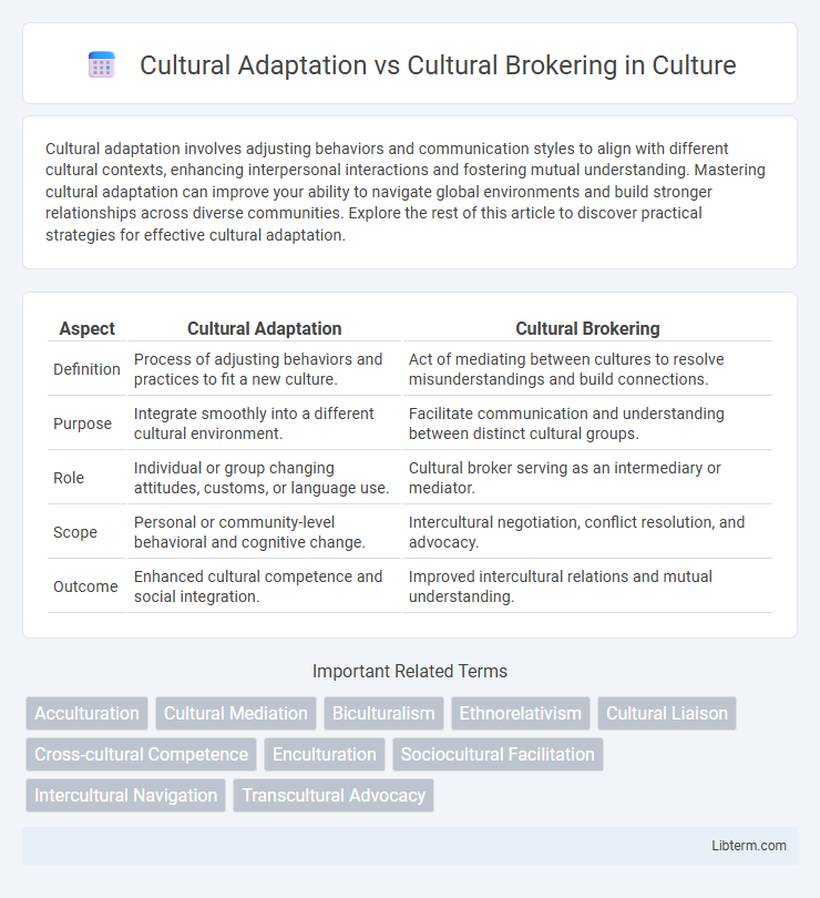 Cultural Brokering vs Cultural Adaptation in Culture - What is The Difference?